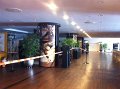 IMG_3707