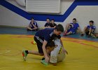 DSC 5714
