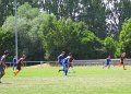 IMG_0385