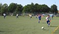 IMG_0528