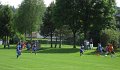 IMG_0901