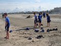 DSC05547