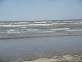 DSC05548